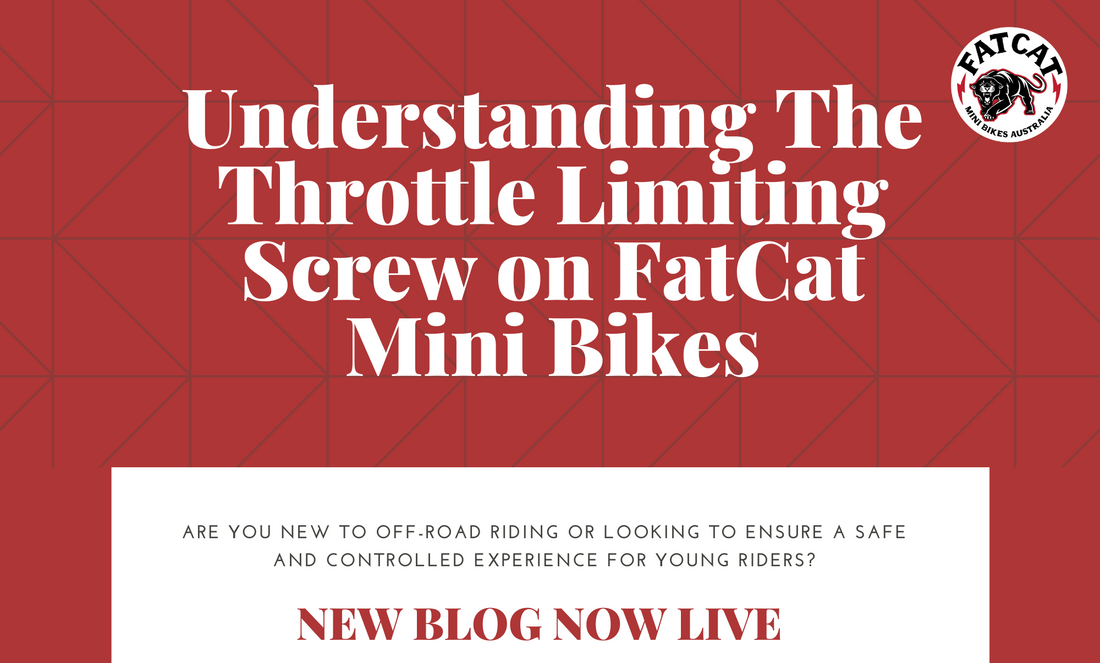 Understanding The Throttle Limiting Screw on FatCat Mini Bikes