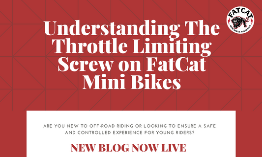 Understanding The Throttle Limiting Screw on FatCat Mini Bikes
