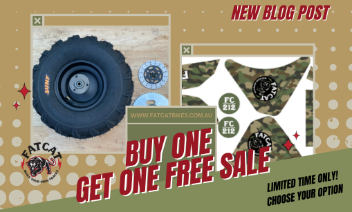 Get Ready for a ROARING BOGO Sale at FatCat!