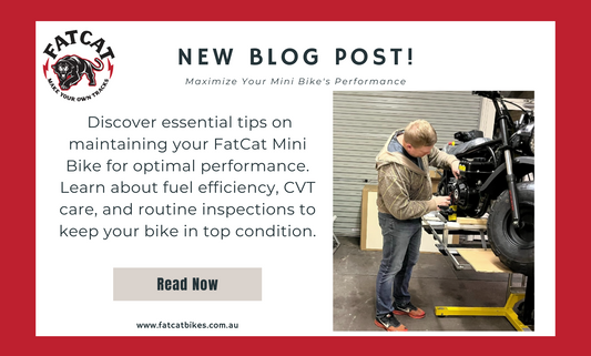 Fuel efficiency, CVT care, and routine inspections to keep your bike in top condition!