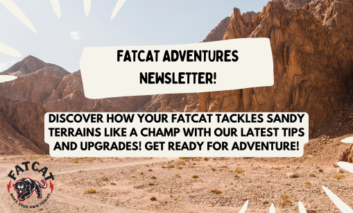 FatCat Adventures Newsletter!