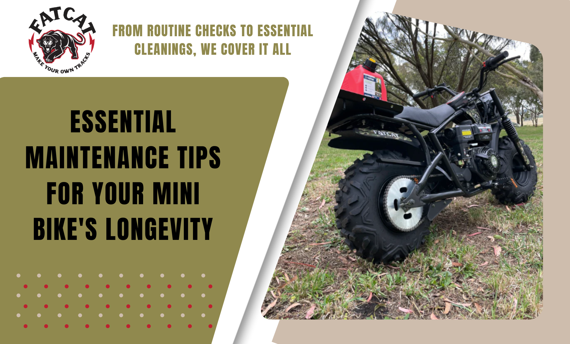 Essential Maintenance Tips for Your Mini Bike s Longevity FatCat Bikes