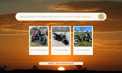 Imaginary Interviews with FatCat Mini Bikes: Meet the Packages