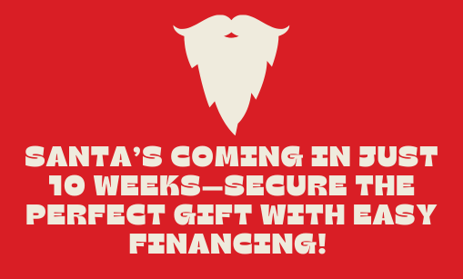 Why a FatCat is the Perfect Christmas Gift (With Easy Financing Options!)