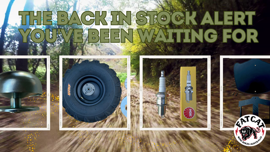 The Back In Stock Alert You've Been Waiting For
