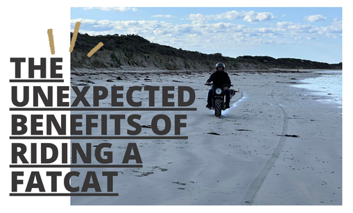 The Unexpected Benefits of Riding a FatCat Mini Bike