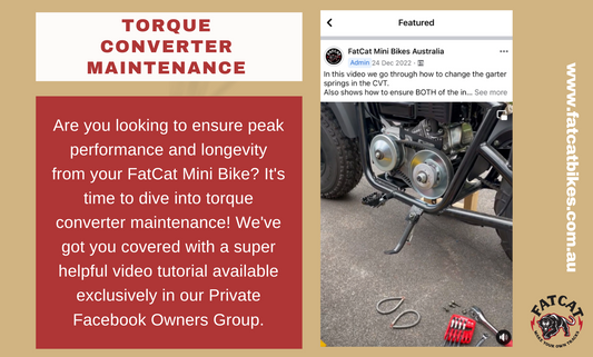Essential Torque Converter Maintenance Guide for FatCat Mini Bike Owners