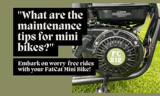 "What are the maintenance tips for mini bikes?"