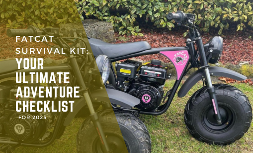 FatCat Survival Kit: Your Ultimate Adventure Checklist for 2025