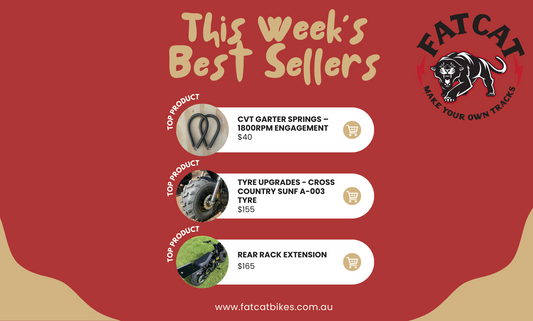 Gear Up for Adventure: This Week's Top 5 FatCat Favourites!