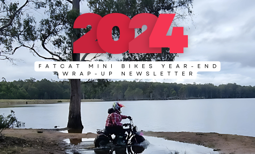 FatCat Mini Bikes Year-End Wrap-Up- 2024 Newletter