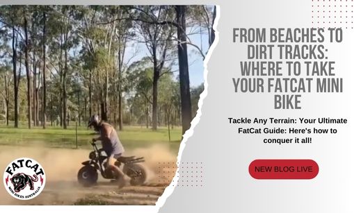 From Beaches to Dirt Tracks: Where to Take Your FatCat Mini Bike
