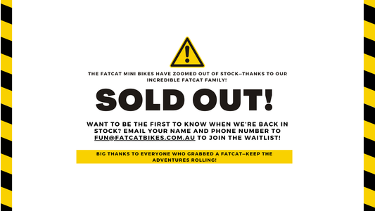 FatCat Bikes: Officially SOLD OUT!
