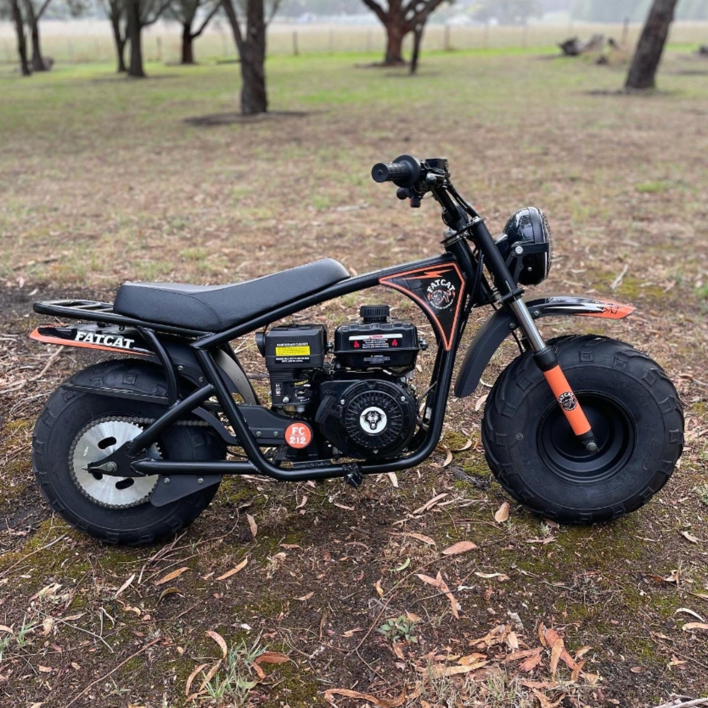 Coloured Graphic Sticker Kit