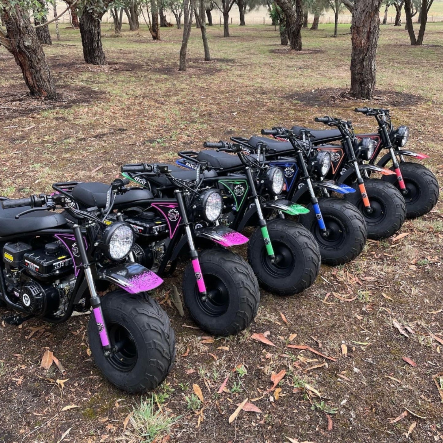 Coloured Graphic Sticker Kit