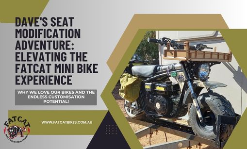 Dave's Custom Seat Mod and Off-Roading Adventures: Elevating the FatCat Mini Bike Experience!