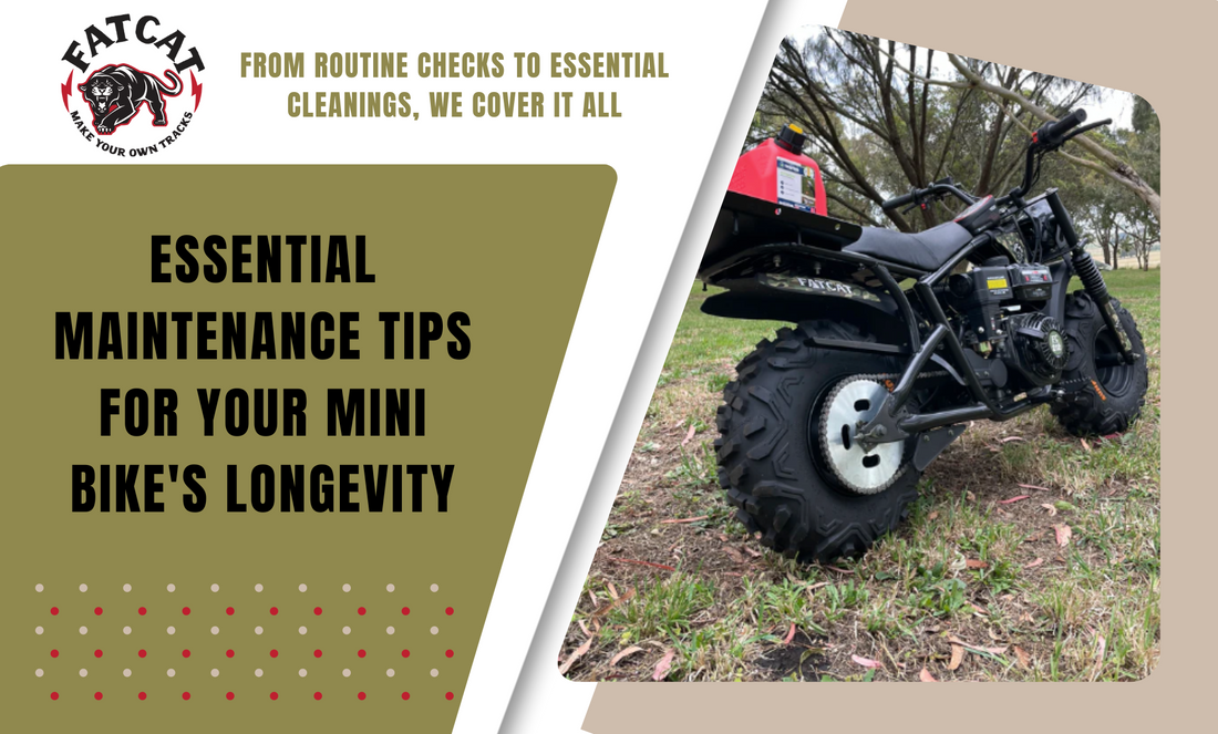 Keep Your FatCat Purring! Essential maintenance tips & a must-watch video to keep your ride in peak condition