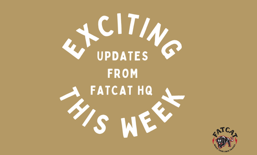 Exciting Updates from FatCat HQ This Week!