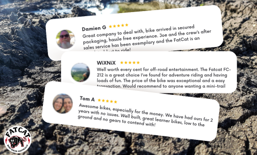 Real Riders, Real Stories: Why FatCat Mini Bikes Are a Hit!