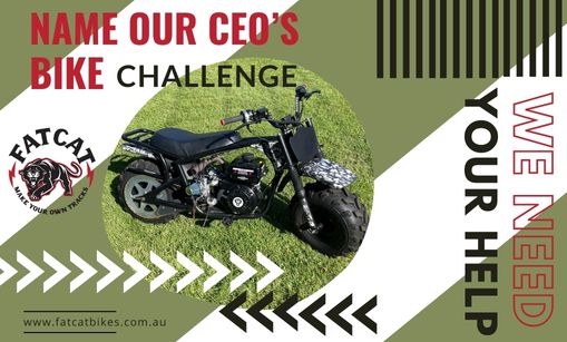 We Need Your Help: Name Our CEO's Epic FatCat Ride!