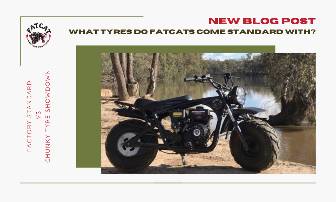 "What Tyres Do FatCat Mini Bikes Come Standard With?"