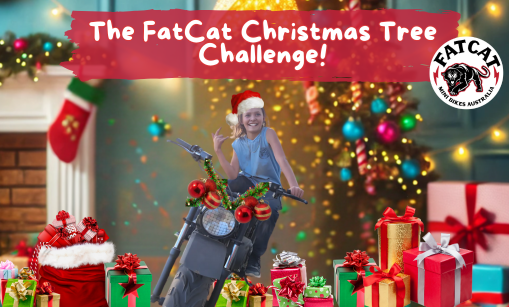 Join the FatCat Christmas Tree Challenge!
