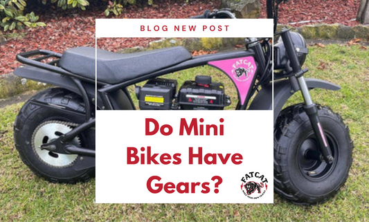 Unveiling the Secrets: Do Mini Bikes Have Gears?