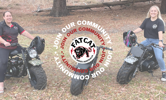 Unleash the Adventure: Join the Exclusive FatCat Community Today!
