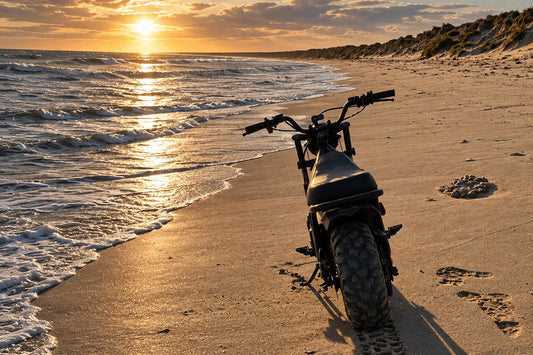 FatCat Mini Bike on sandy beach at sunset