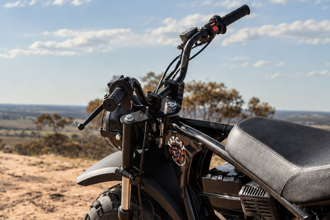 Close up of front of FatCat Mini Bike parked on sand near bush