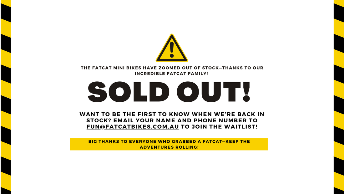 FatCat Bikes: Officially SOLD OUT!