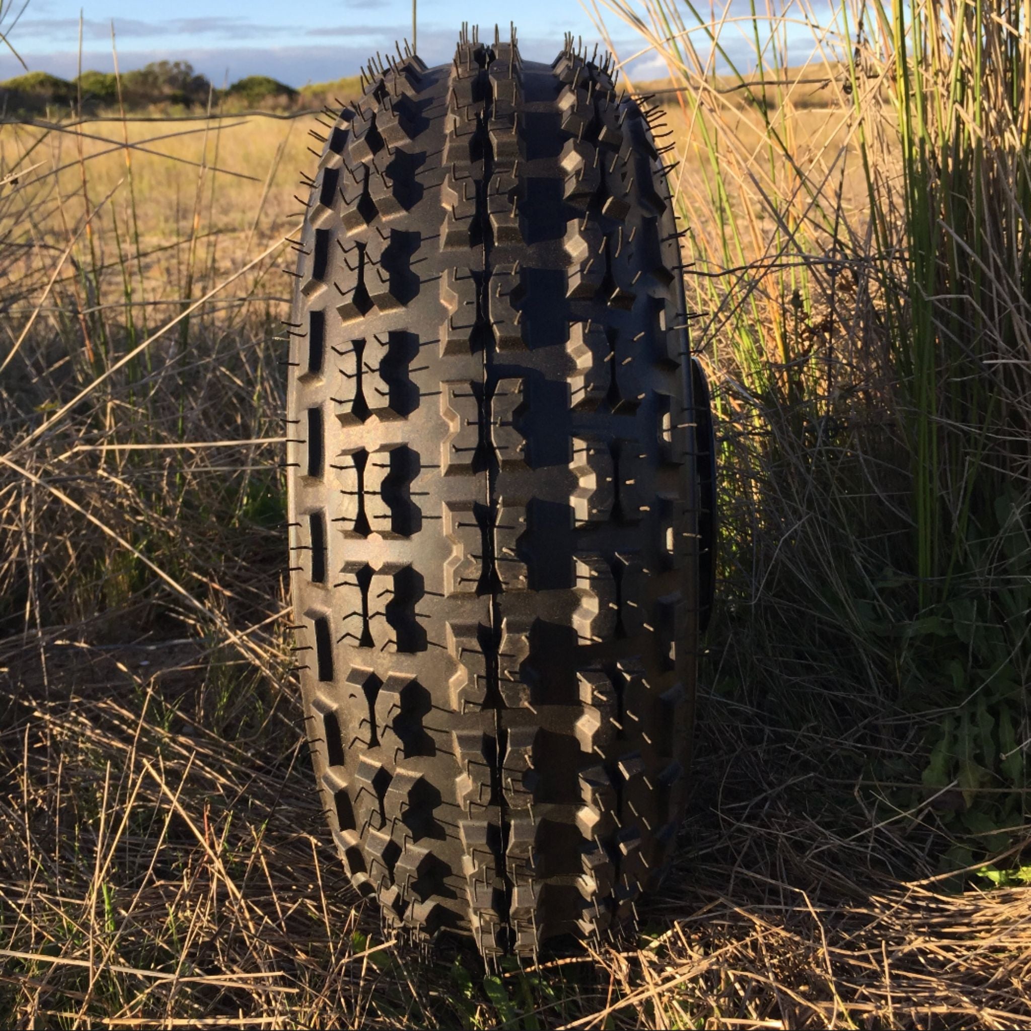 Fat Cat Rims Tyres – FatCat Bikes