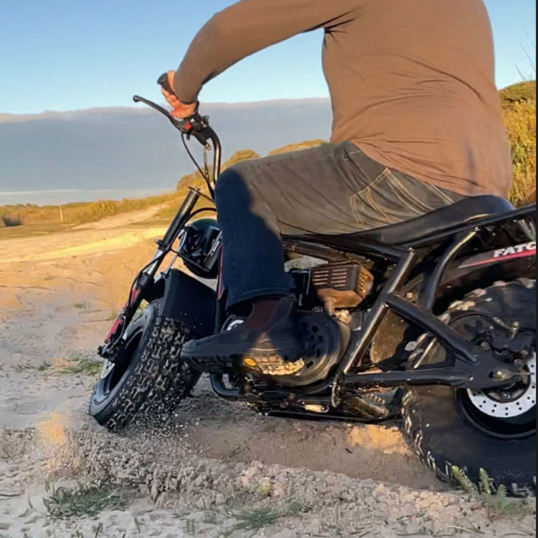 Fat Cat Rims Tyres – FatCat Bikes