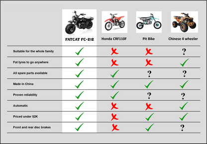 FatCat Mini Bike FC-212
