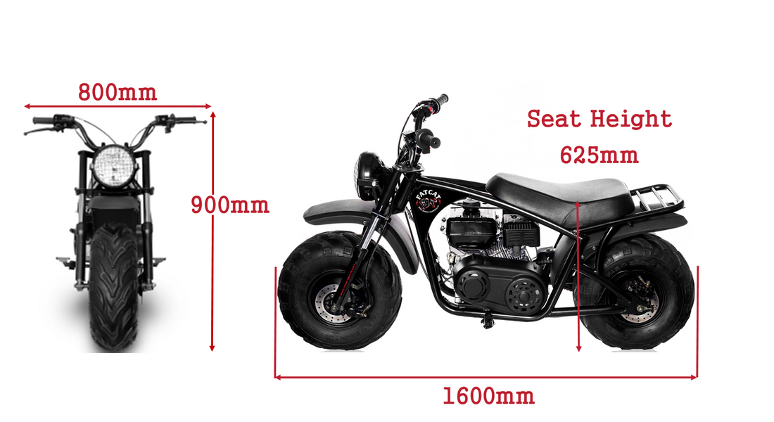 Fat Wheel Mini Rocker Mini bike off road, motor bikes with fat wheels – FatCat Bikes
