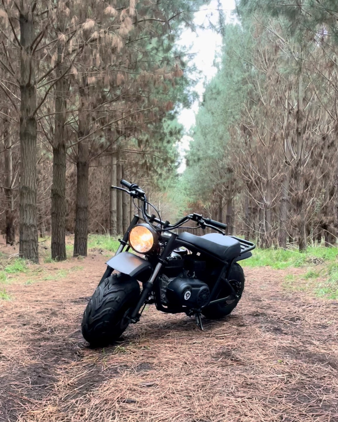 FatCat Mini Bike FC-212