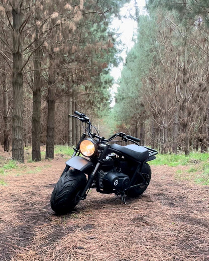 FatCat Mini Bike FC-212