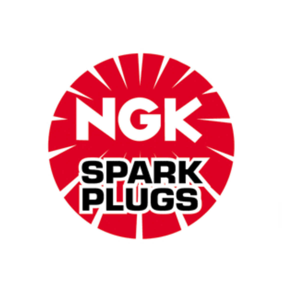 NGK Spark Plug For FatCat