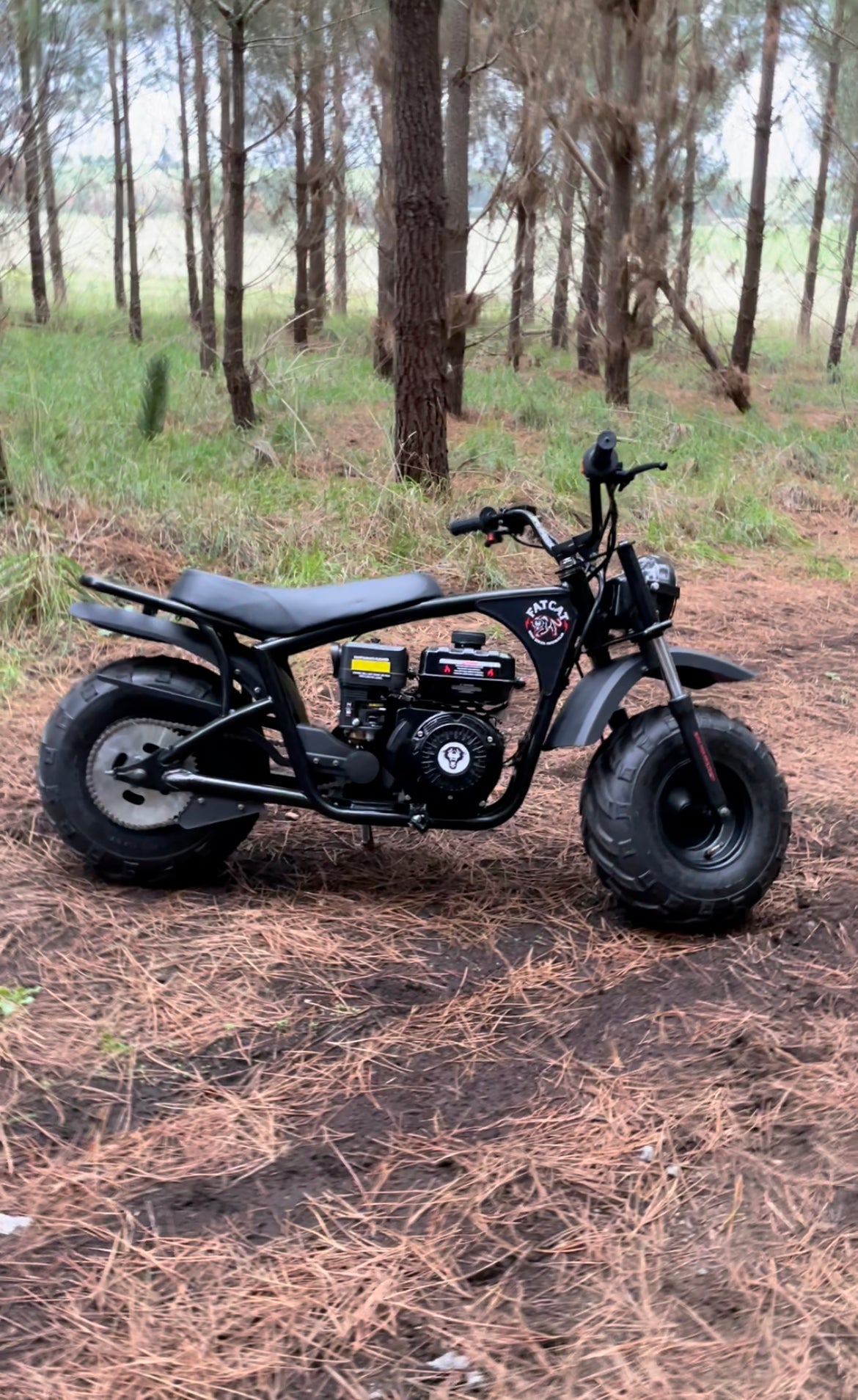 FatCat Mini Bike FC-212