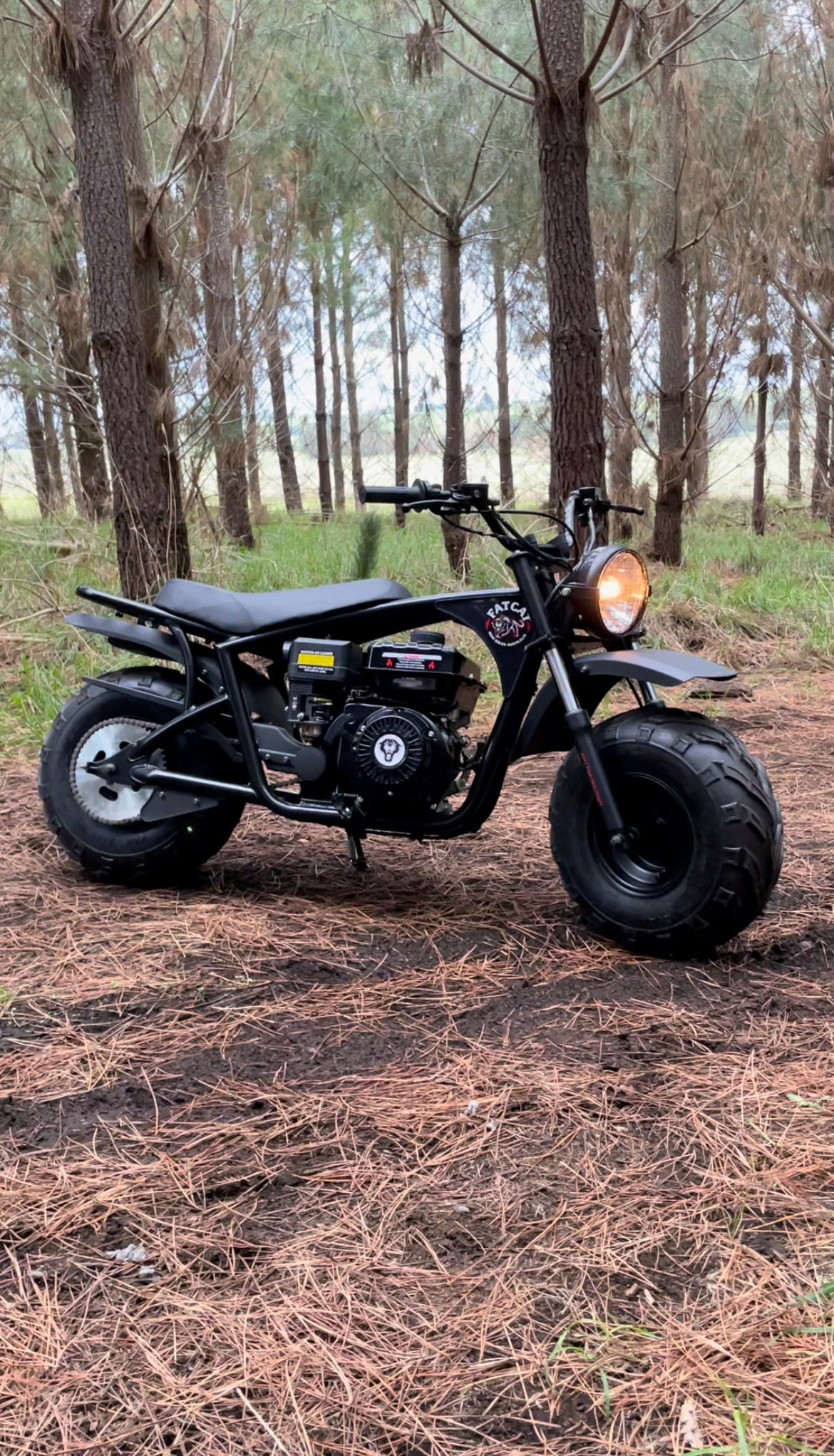 FatCat Mini Bike FC-212