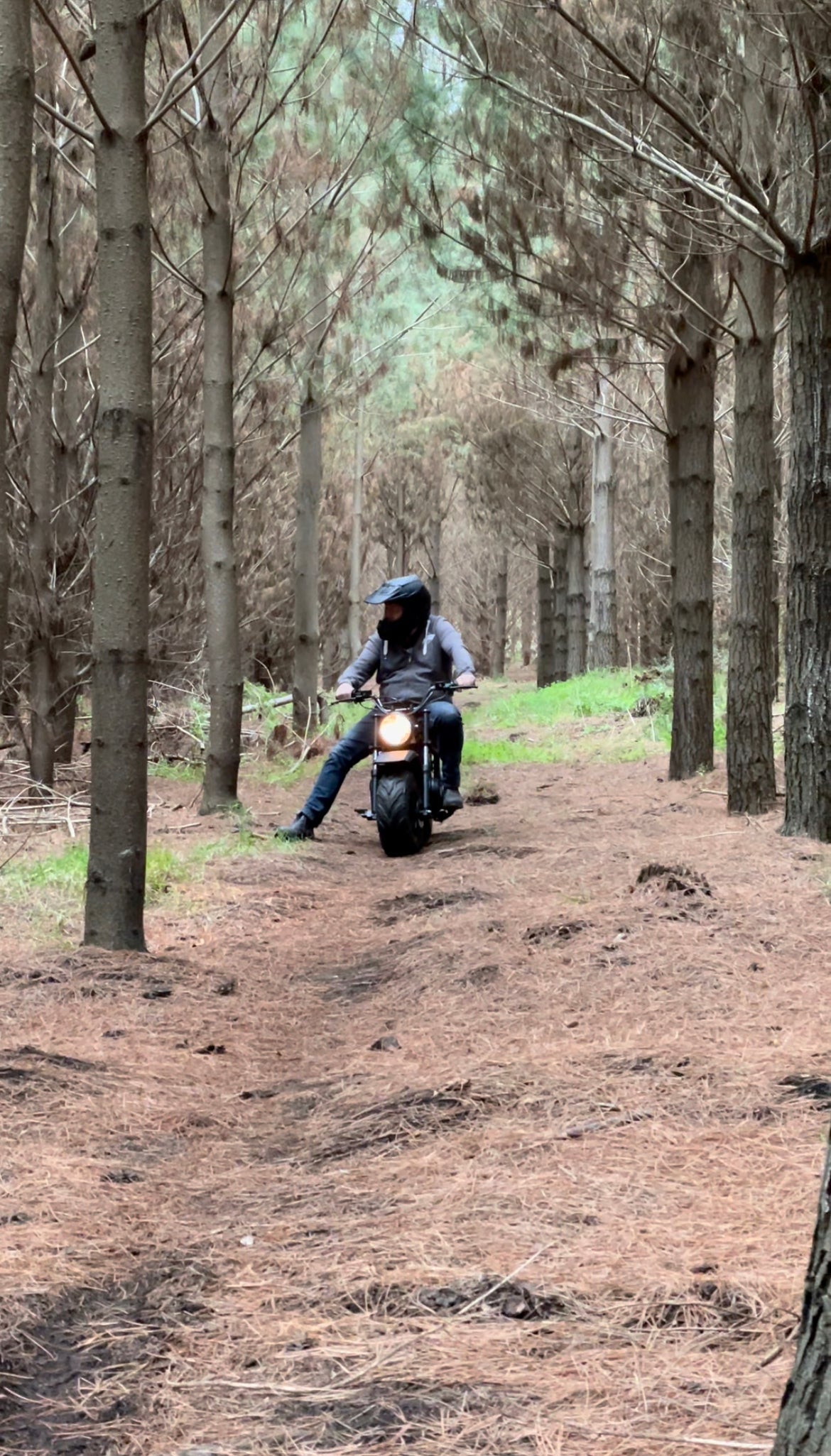 FatCat Mini Bike FC-212