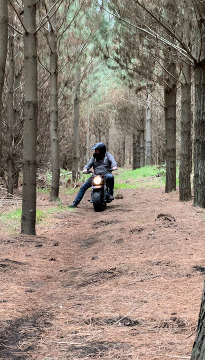 FatCat Mini Bike FC-212